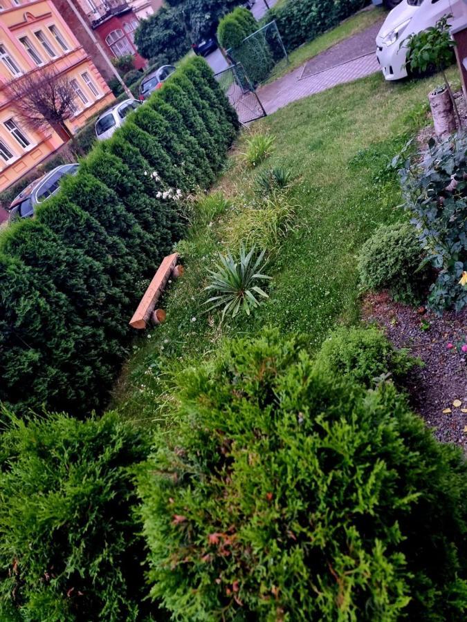 Apartament Lux Lemon Jelenia Góra Eksteriør billede