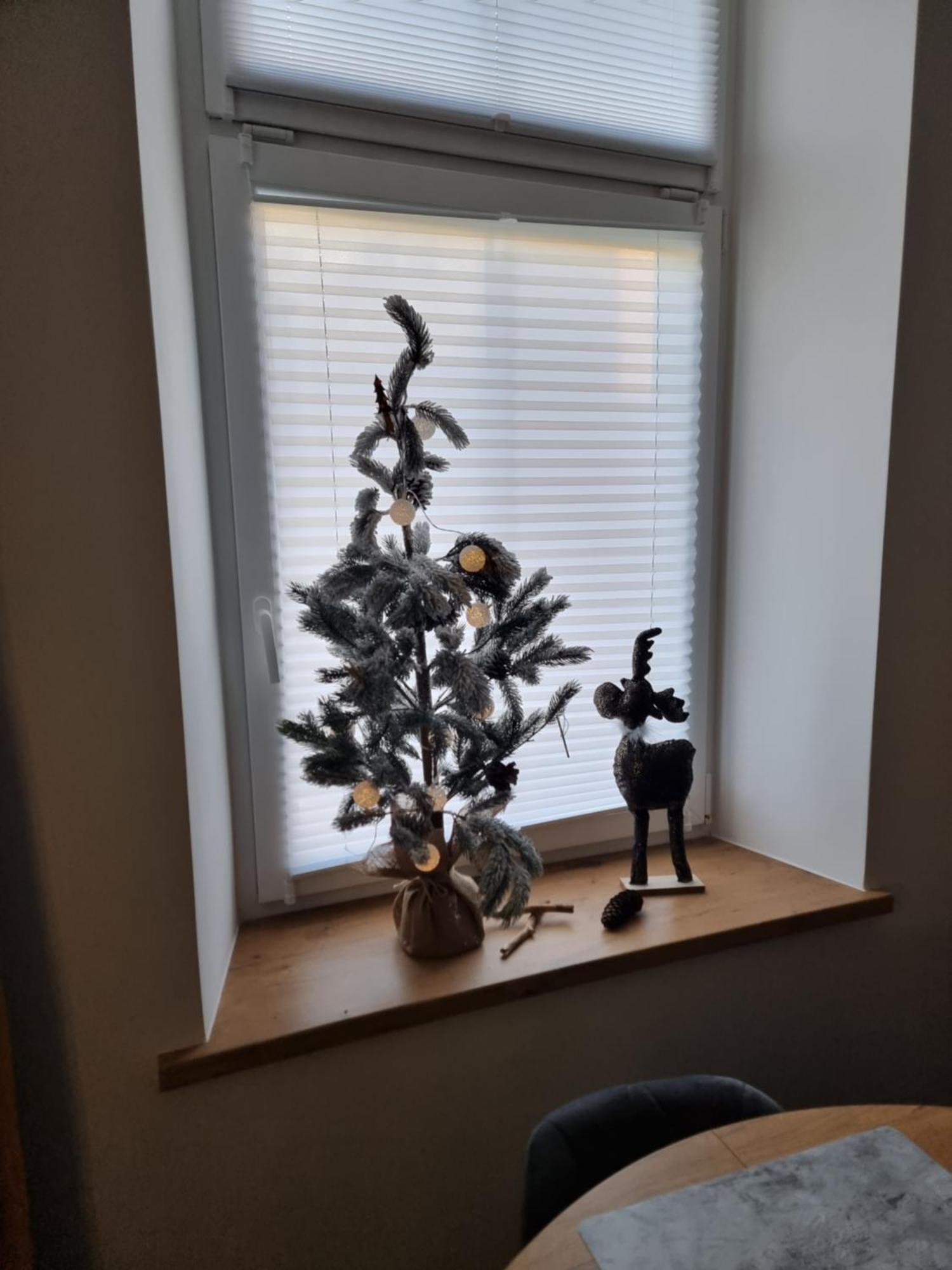 Apartament Lux Lemon Jelenia Góra Eksteriør billede